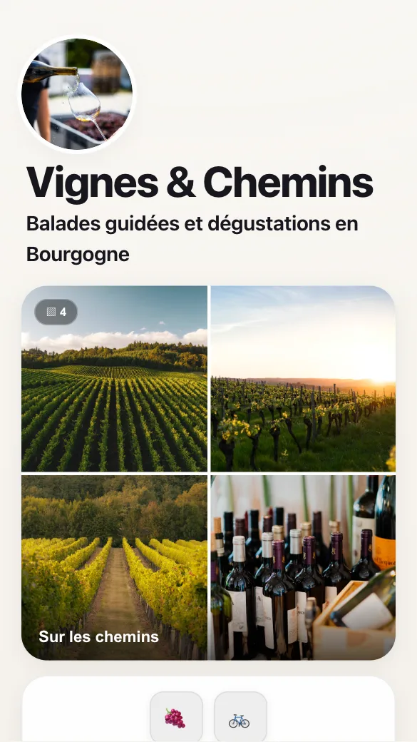 Aperçu du modèle Balades dans les vignes