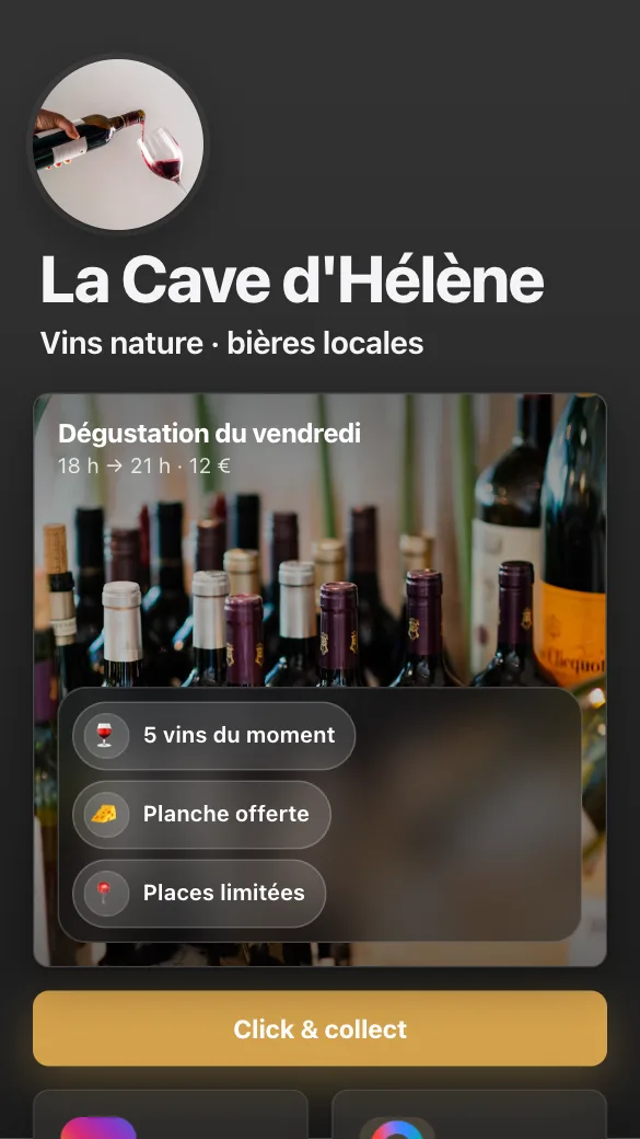 Aperçu du modèle Caviste