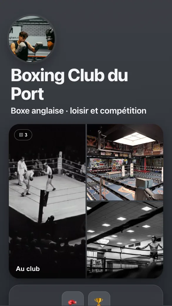 Aperçu du modèle Club de boxe