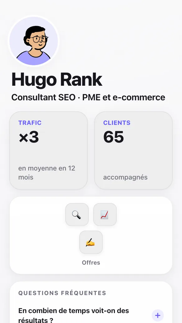 Aperçu du modèle Consultant SEO