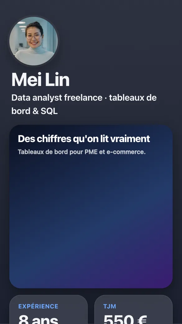 Aperçu du modèle Data analyst freelance