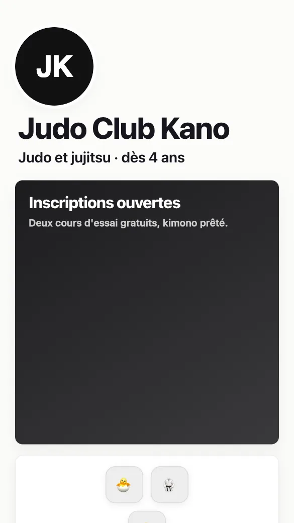 Aperçu du modèle Dojo de judo