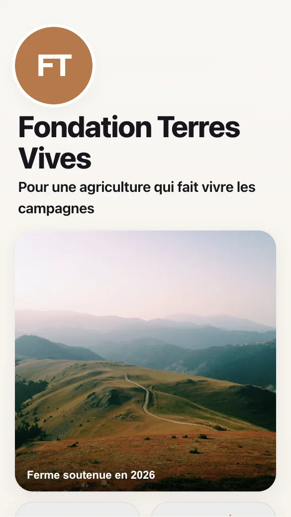 Aperçu du modèle Fondation