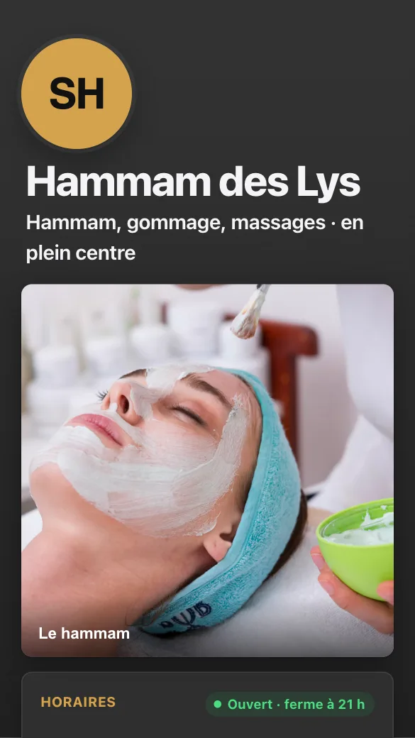 Aperçu du modèle Spa & hammam