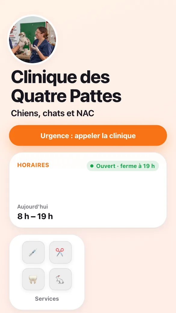 Aperçu du modèle Vétérinaire