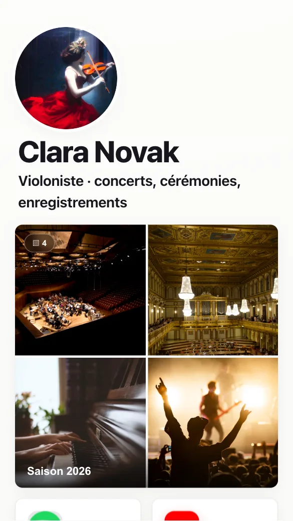 Aperçu du modèle Violoniste
